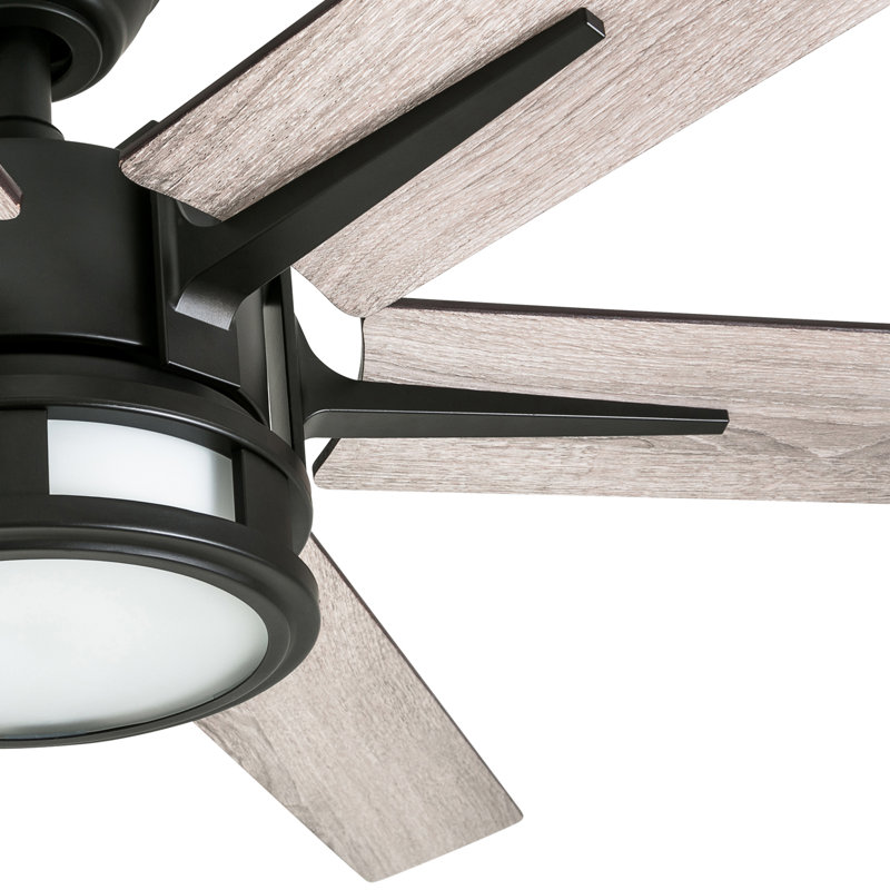 Ventilateur de plafond 56 "avec lumière DEL Kaliza, Bronze espresso