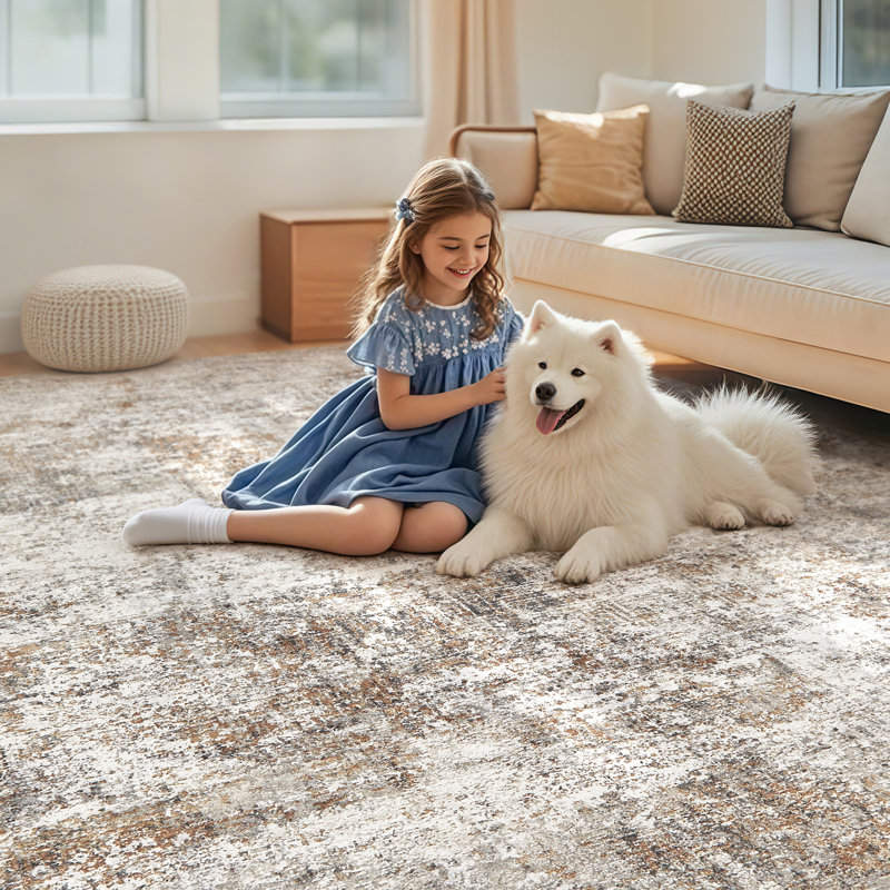 Area Rug Living Room Rugs Soft Indoor Carpet Modern Abstract Rug with Non Slip Rubber Backing for Under Dining Table Nursery Home Office Bedroom