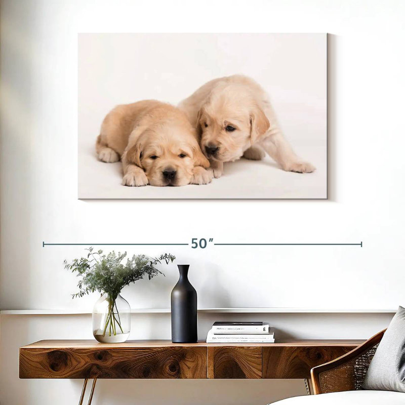 Brampt Golden Retriever de Brampt, H 26 po x l 39 po