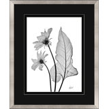 Arrow Leaf Print