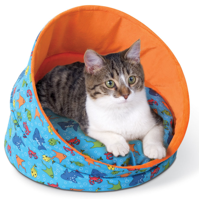 Kitty Cave in Orange