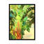 Bird Of Paradise Palm I by Melinda Bradshaw - Painting-626937481-625541890