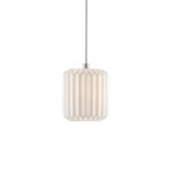 Dove 1 - Light Pendant