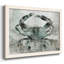 Crabe neutre II-138778796-138778798