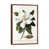 Classic Brown Wood Framed is unavailable