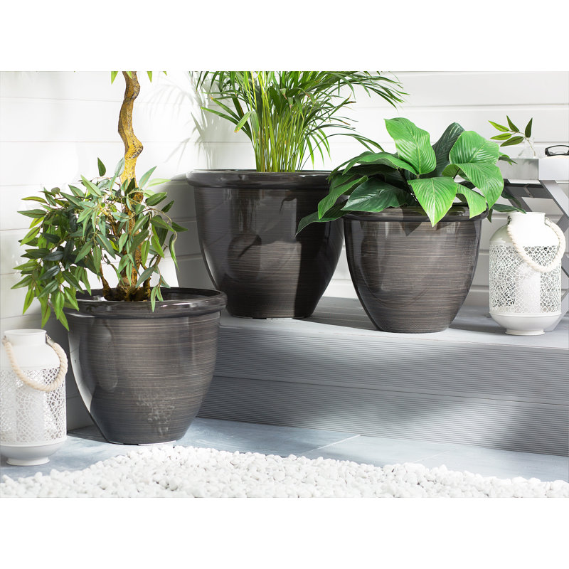 Chesley Pot Planter, 41 cm H x 49 cm W x 49 cm D