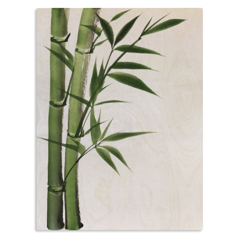 Green Bamboo Wood Print by Pixhook 