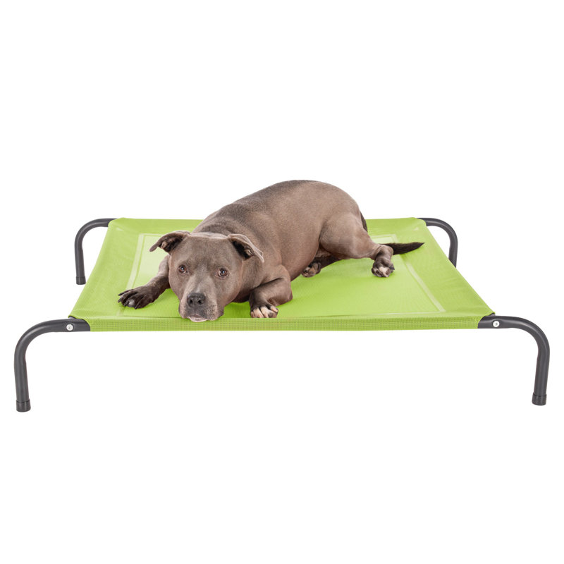 Elevated Cot Pet Bed, Green, 8" H x 32.5" W x 44" D
