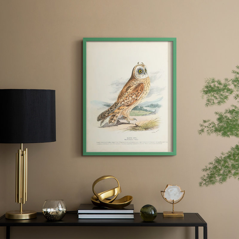 Hawk Owl Framed Print - Solid Wood, Green, 30" H x 24" W