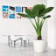 Classico Pot Planter-16493166