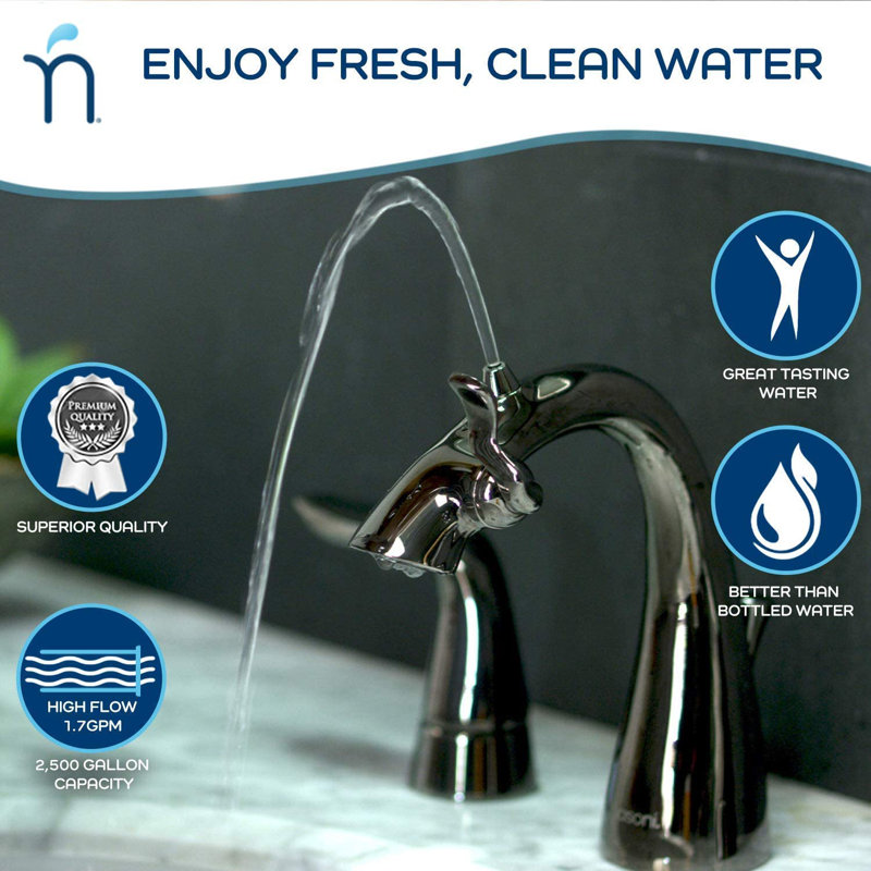 Nasoni Widespread Bathroom Fountain Faucet with Drain Assembly and Filter, Gloss Black Nickel