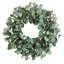Pittosporum Spray Wreath