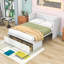 Lit escamotable double en bois avec conception peu encombrante-503467369-503467374