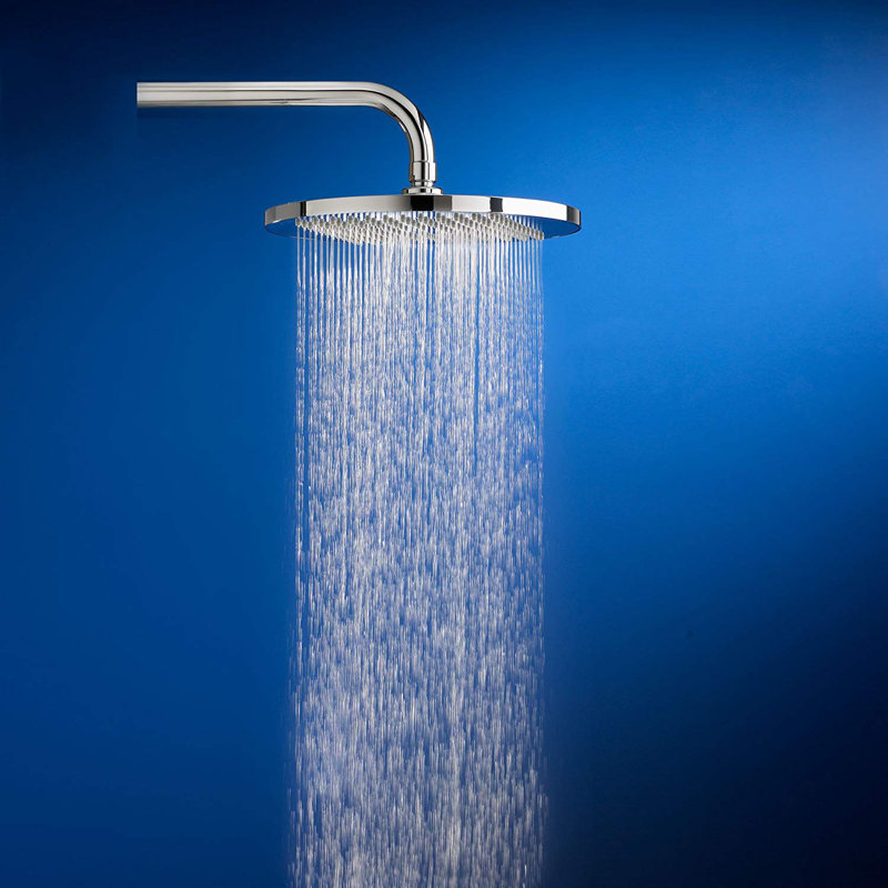 Rain Adjustable Shower Head 2.5 GPM GPM, Polished Brass