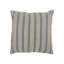Demi 20" Square Throw Pillow, Natural Blue-2074772689