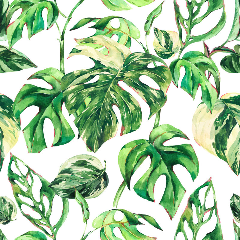 Panneau de papier peint Hysen Monstera, L 2,08 pi x L 18,75 pi