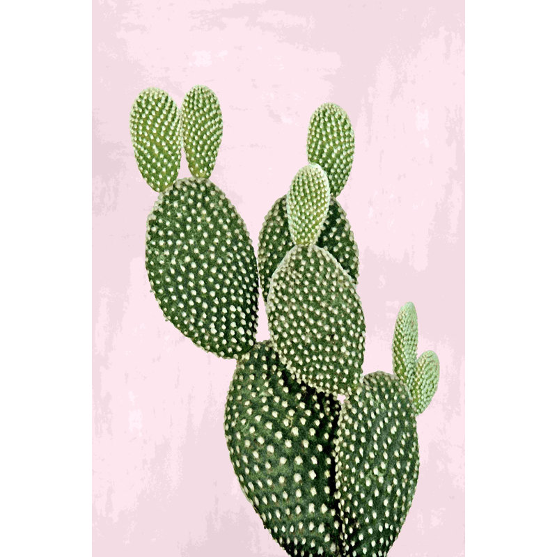 Cactus sur rose V - peinture sur toile tendue, H 18 po x l 12 po