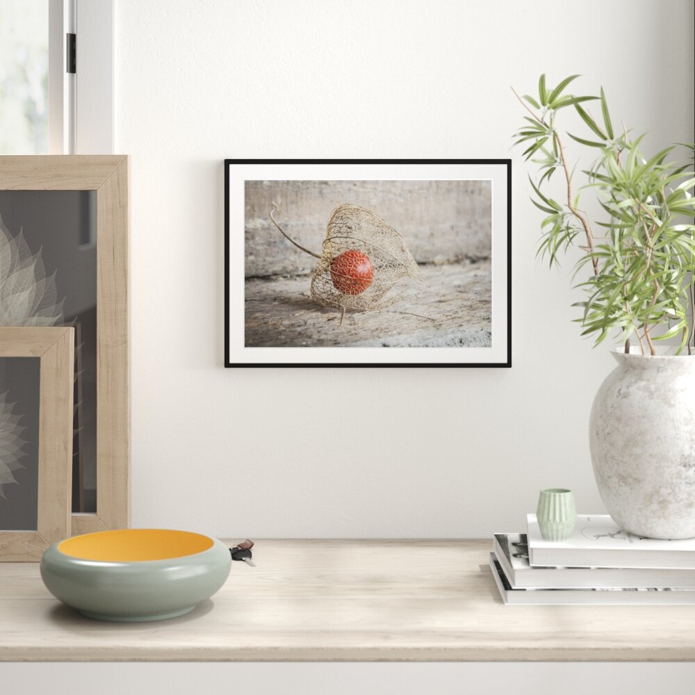 Gerahmtes Poster Physalis