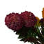 Plastic, Silk Artificial Arrangement-106401568
