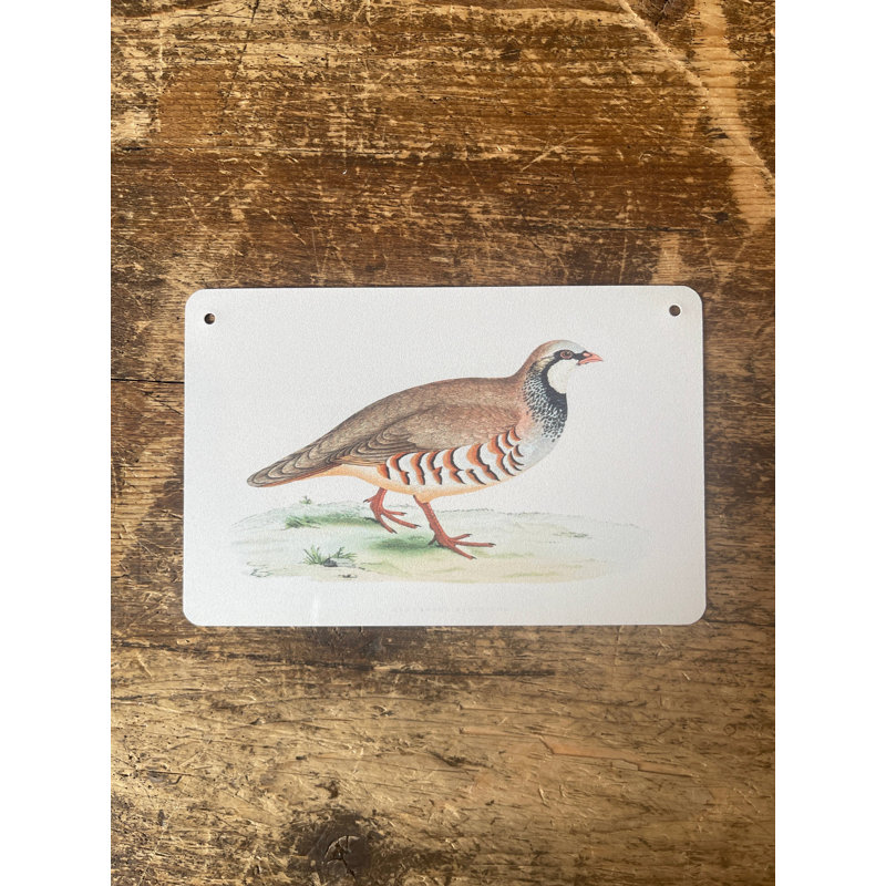 No Frame Print on Metal