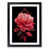 Black Framed selected