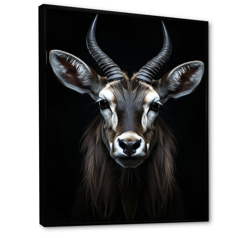 Antilope Keionna, photo II - impression, H 20 po x l 12 po x P 1 po, Cadre flottant noir