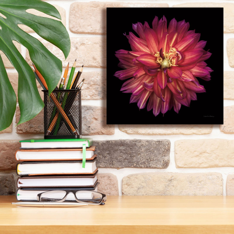 Toile épique Graffiti «Dahlia 3» par Debra Van Swearingen, 12 po x 12 po