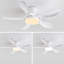 Antha 122cm Ceiling Fan with LED Lights