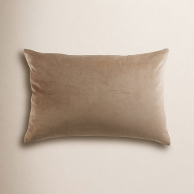 Feuily 20" x 14" Velvet Throw Pillow