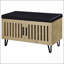 Banc de rangement 2 portes-214001067
