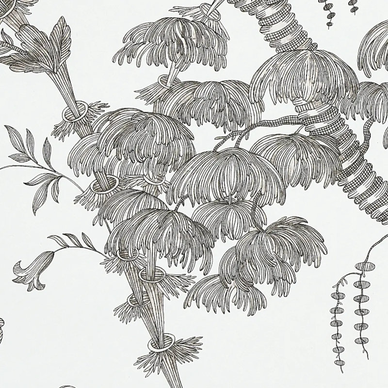 San Cristobal Toile Wallpaper, Black