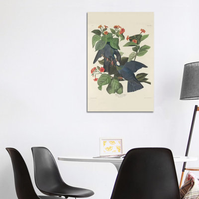 White-crowned Pigeon, 1833 by John James Audubon - Wrapped Canvas Gallery-Wrapped Canvas Giclée