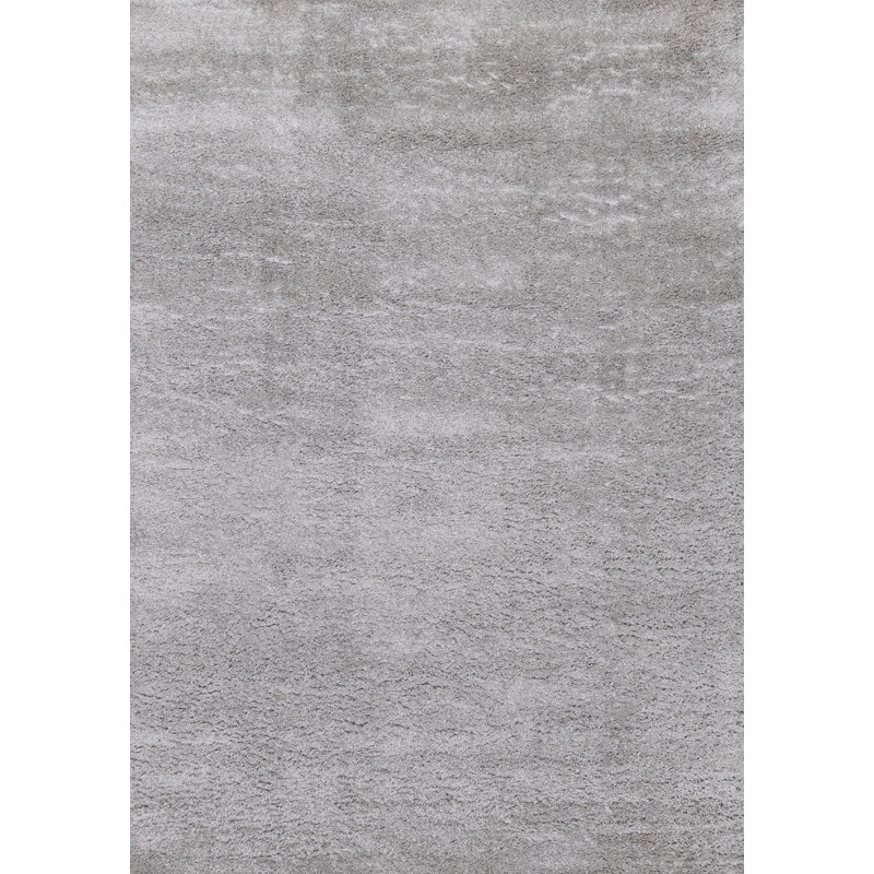 Tapis gris 4 pi x 6 pi