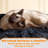 Siegfried Multi-Level Cat Tree-1738753546