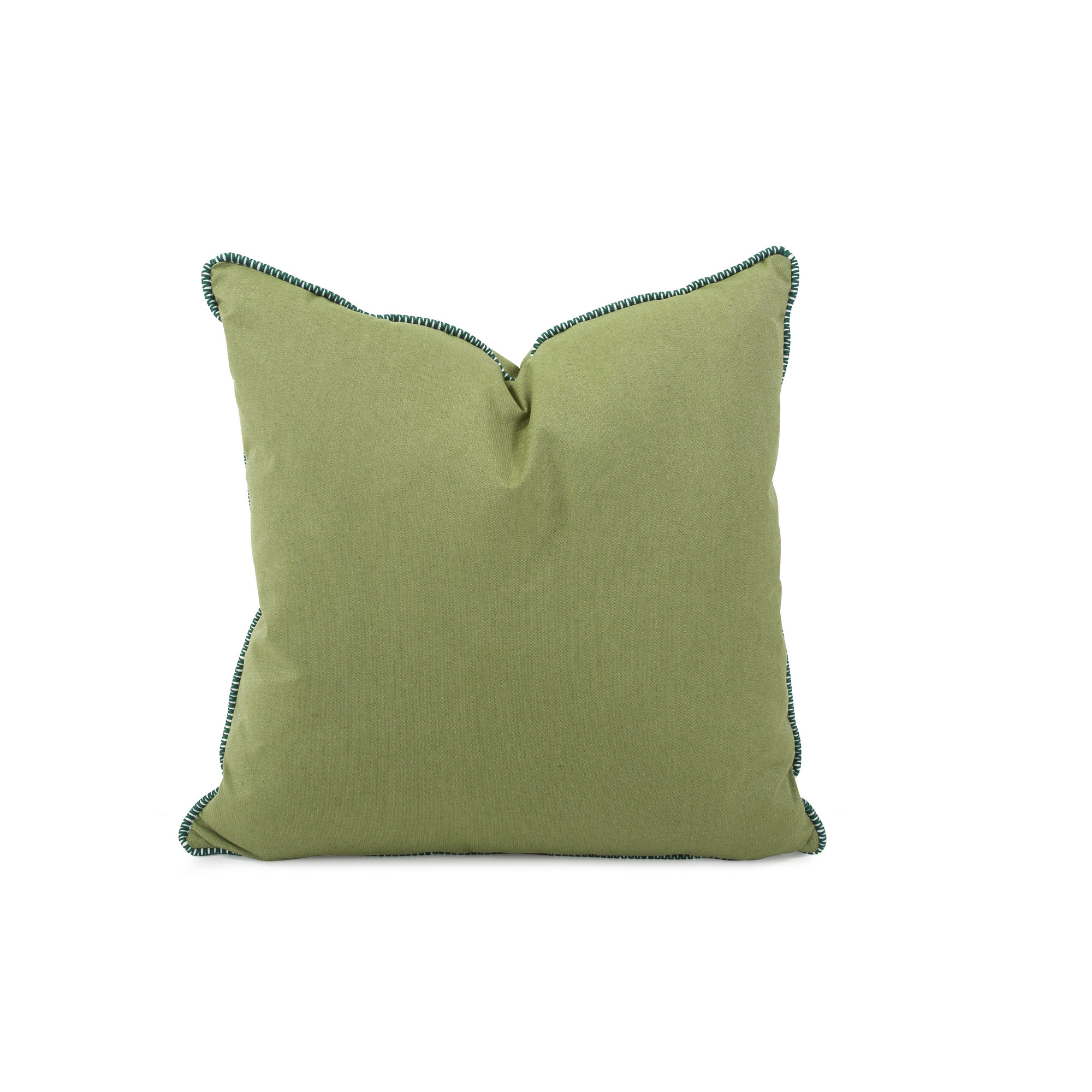 Delijah Sunbrella® Indoor/Outdoor Throw Pillow, Seascape Moss, 24" x 24"
