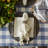 Skodak Checkered 100% Cotton Square Tablecloth-372751616