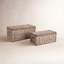 Nelda Normandy Storage Trunk Gray