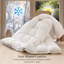 Édredon en duvet 100% coton toutes saisons-1683468111
