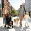 Poussette double pour chien et chat-130714616