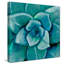 «Blue Succulent», reproduction de peinture à l'aquarelle-31477154-31934947