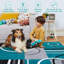 Geometric Machine Printed Area Rug-131399044-131399047