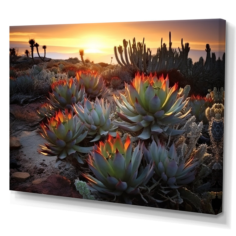 «Succulent Desert Cactus Field Burning Sunset III» - Art mural succulent, H 30 po x l 40 po x P 1,5 po, Toile tendue