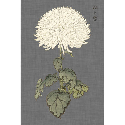 Dramatic Ivory Mums I - Graphic Art