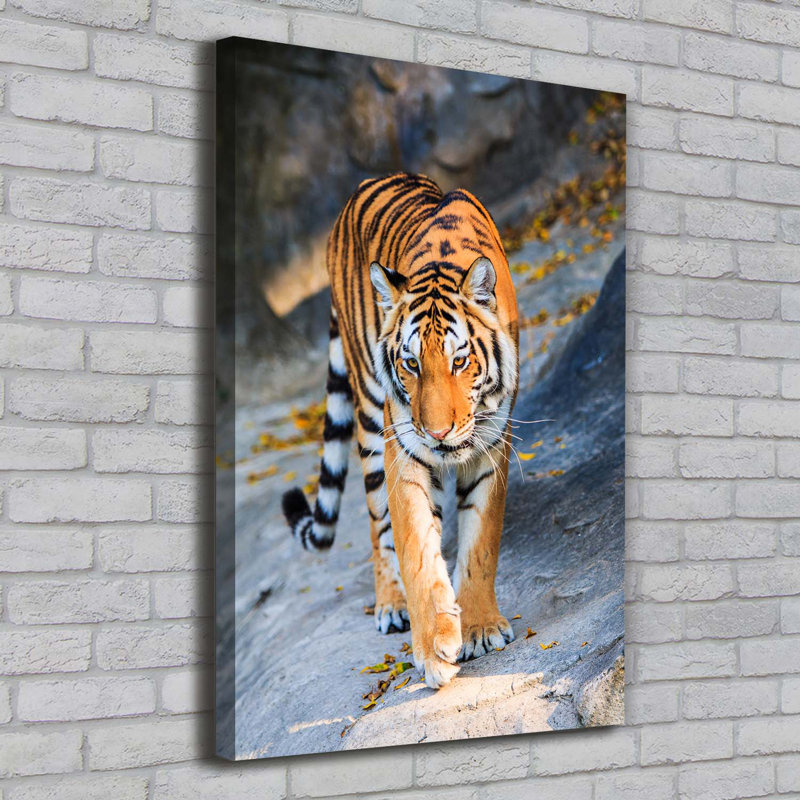 Tiger - Wrapped Canvas Print