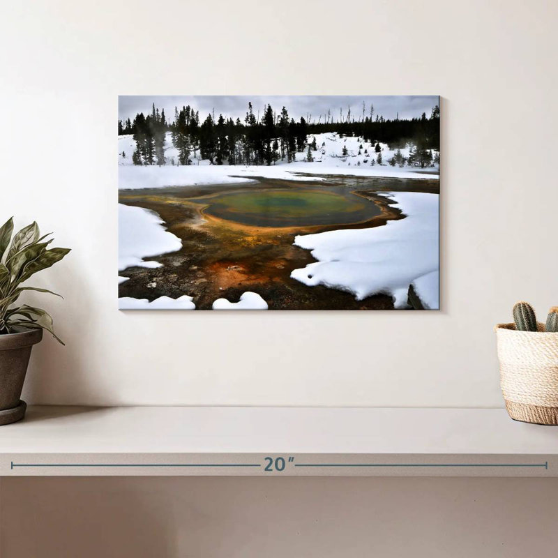 Alvord Yellowstone Winter Geyser, H 8 po x l 12 po