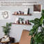 Dabo 2 Piece Floating Shelf-391794430-391794424