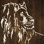 «White Lion on Dark Wood» par Chris Paschke - reproduction d'art sur toile tendue
