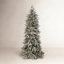 Stennis Christmas Tree