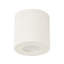 ORBIS Flush Mount-1695435991-1695436009-1695436025