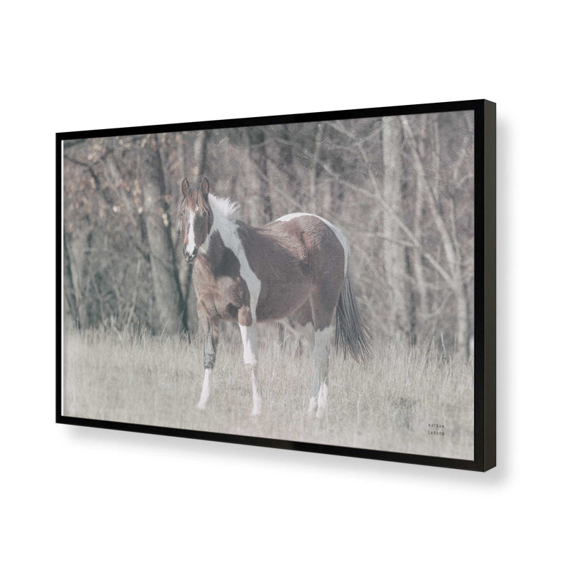 «Sunny Field III» par Nathan Larson, reproduction d'art, Noir, H 32 po x l 48 po